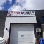 L’image actuelle n’a pas de texte alternatif. Le nom du fichier est : photo-spca.jpg